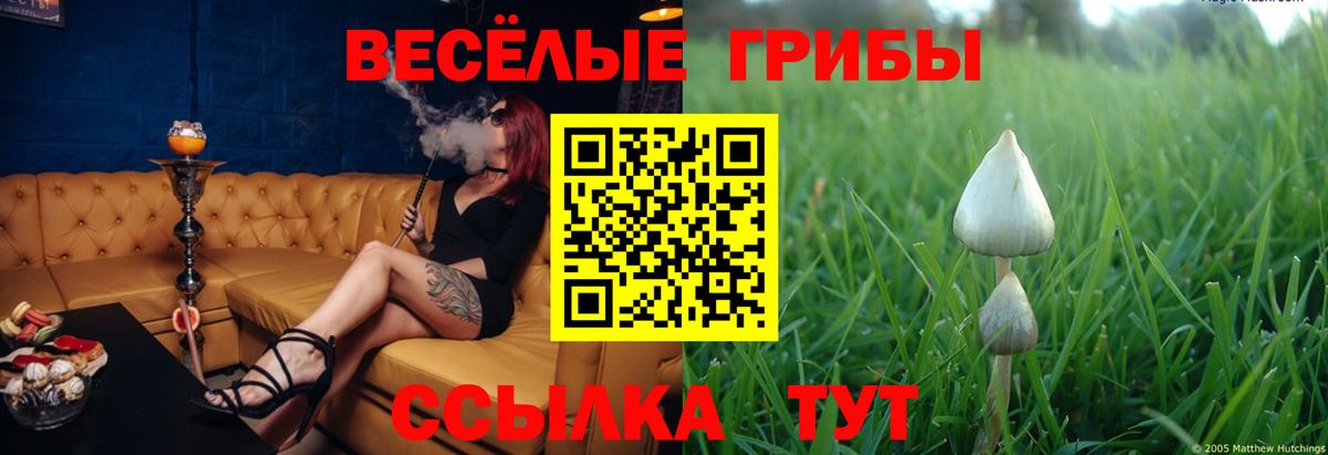 Галлюциногенные грибы ЛСД  Вход с VPN  Гулькевичи 