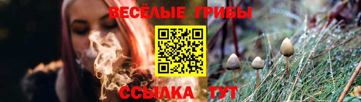 Псилоцибиновые грибы Magic Shrooms Гулькевичи